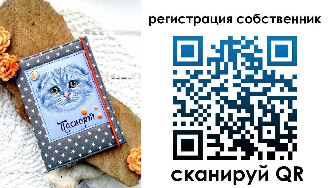 прописка для работы в Жирновске